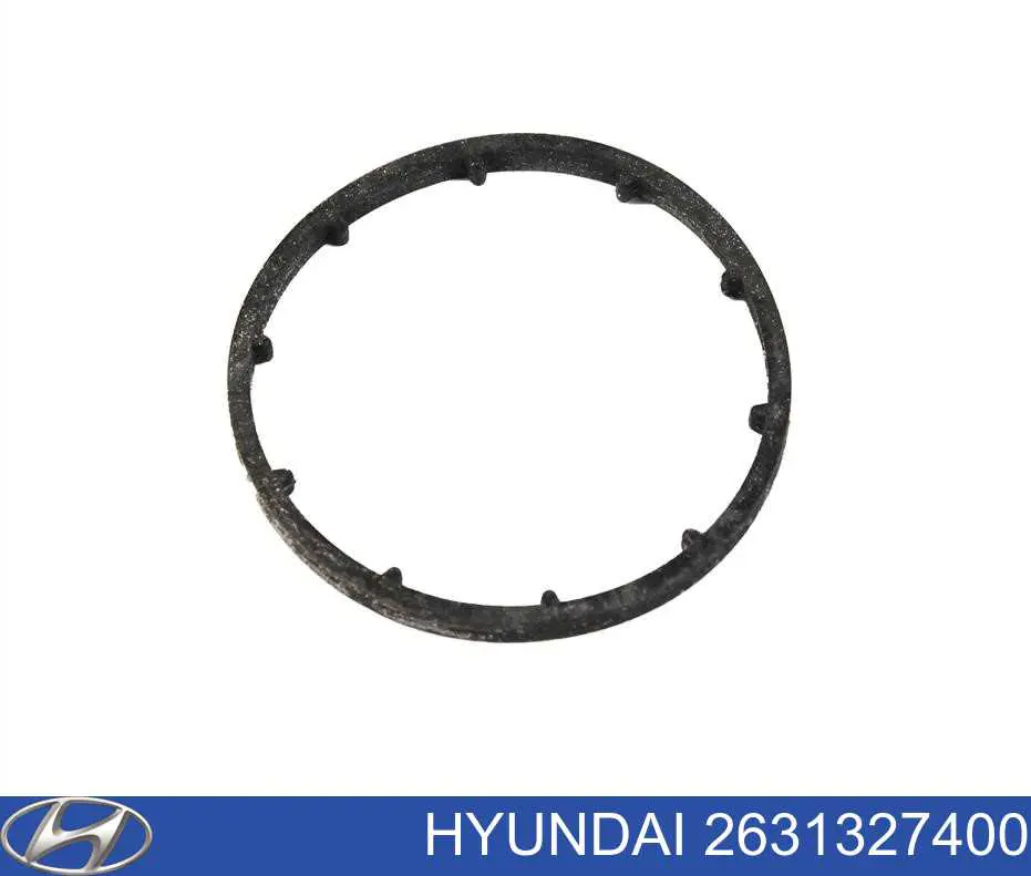 2631327400 Hyundai/Kia Pierścień uszczelniający między korpusm filtra oleju a wymiennikiem ciepła