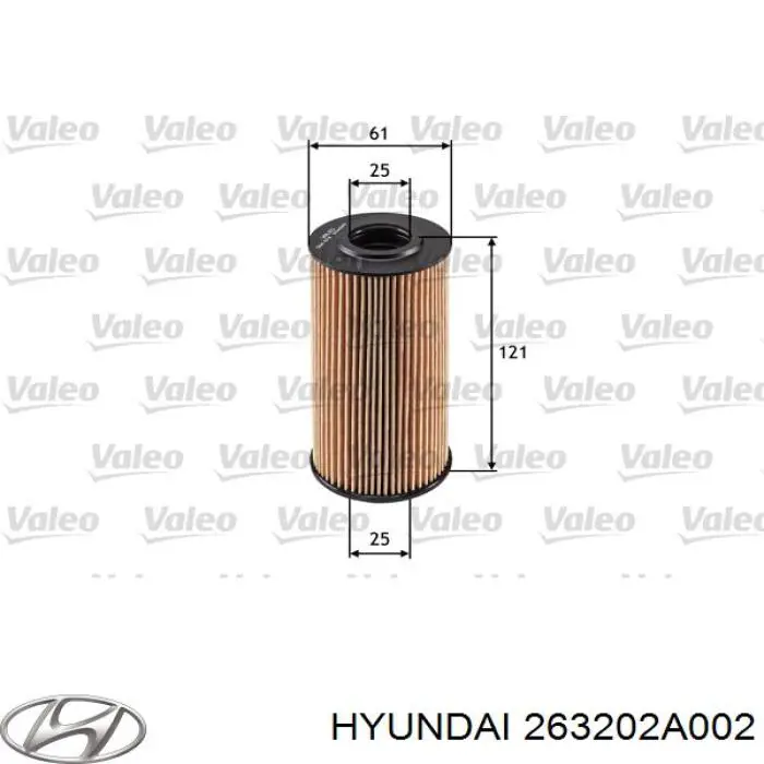 Filtr oleju Hyundai/Kia 263202A002