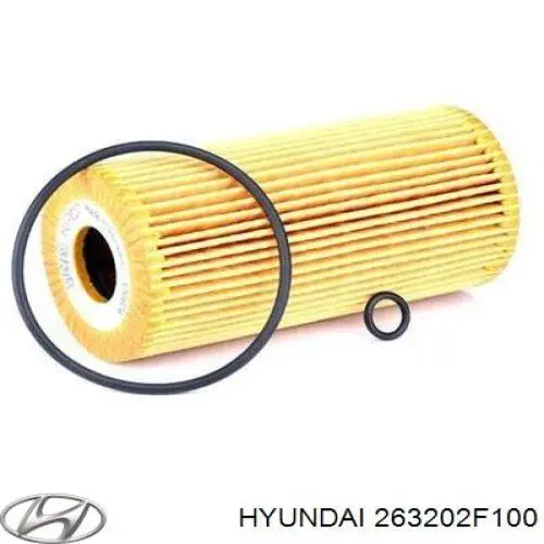 263202F100 Hyundai/Kia filtr oleju