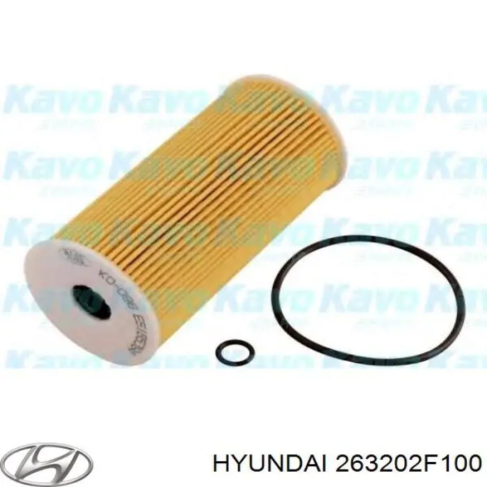 Filtr oleju Hyundai/Kia 263202F100
