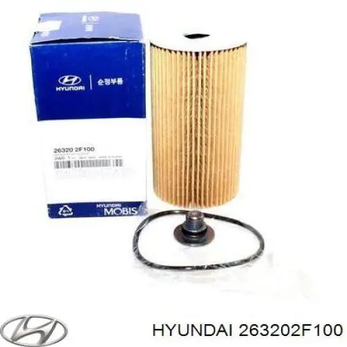 Do koszyka 263202F100 Hyundai/Kia Filtr oleju