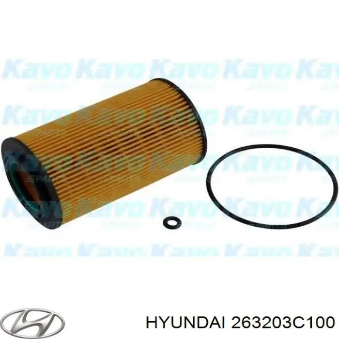 Filtr oleju Hyundai/Kia 263203C100 cena, od 7,85 USD