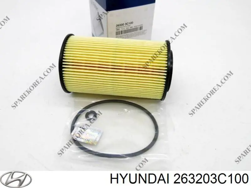 Filtr oleju Hyundai/Kia 263203C100