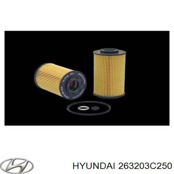 263203C250 Hyundai/Kia Filtr oleju