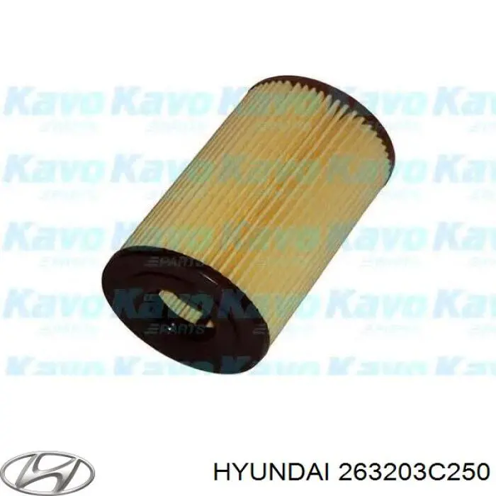 Do koszyka 263203C250 Hyundai/Kia Filtr oleju