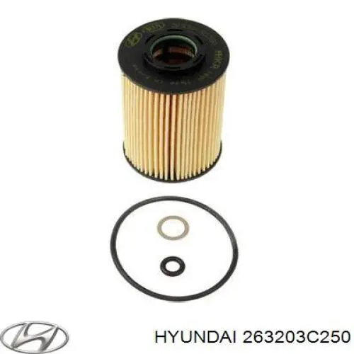 263203C250 Hyundai/Kia Filtr oleju