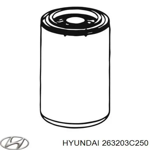 Filtr oleju Hyundai/Kia 263203C250 cena, od 6,55 USD