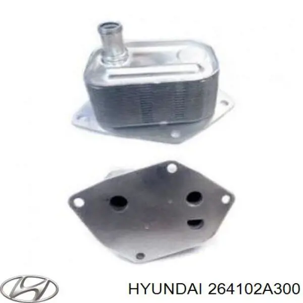 Chłodnica oleju, pod filtrem Hyundai/Kia 264102A300 cena, od 38,55 USD