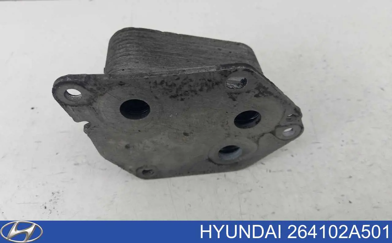 264102A501 Hyundai/Kia Chłodnica oleju, pod filtrem