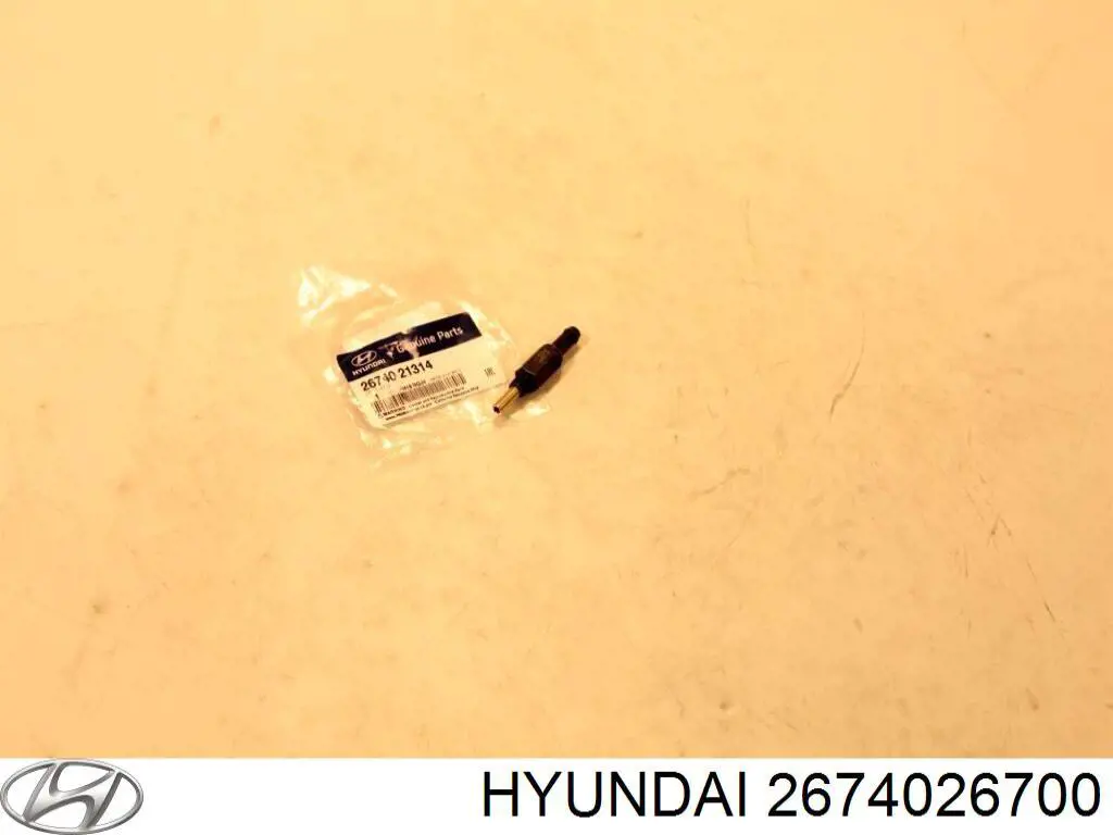 Do koszyka Zawór PCV odpowietrzający silnik Hyundai Accent II LC