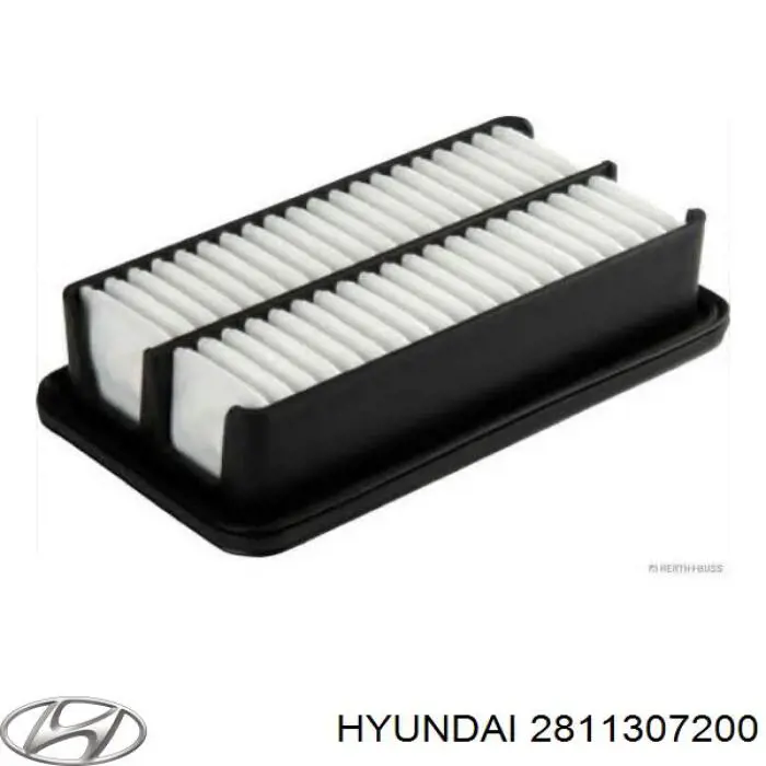 Do koszyka 2811307200 Hyundai/Kia Filtr powietrza