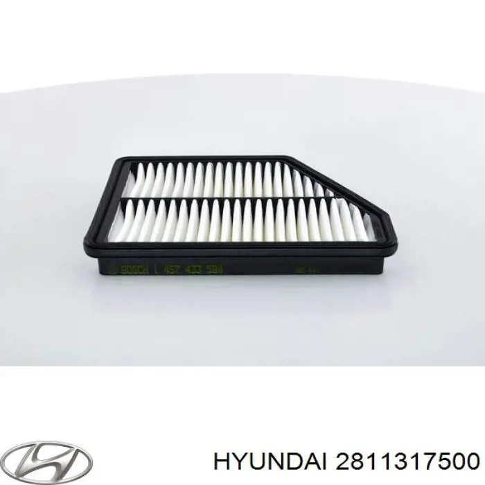 Do koszyka 2811317500 Hyundai/Kia Filtr powietrza
