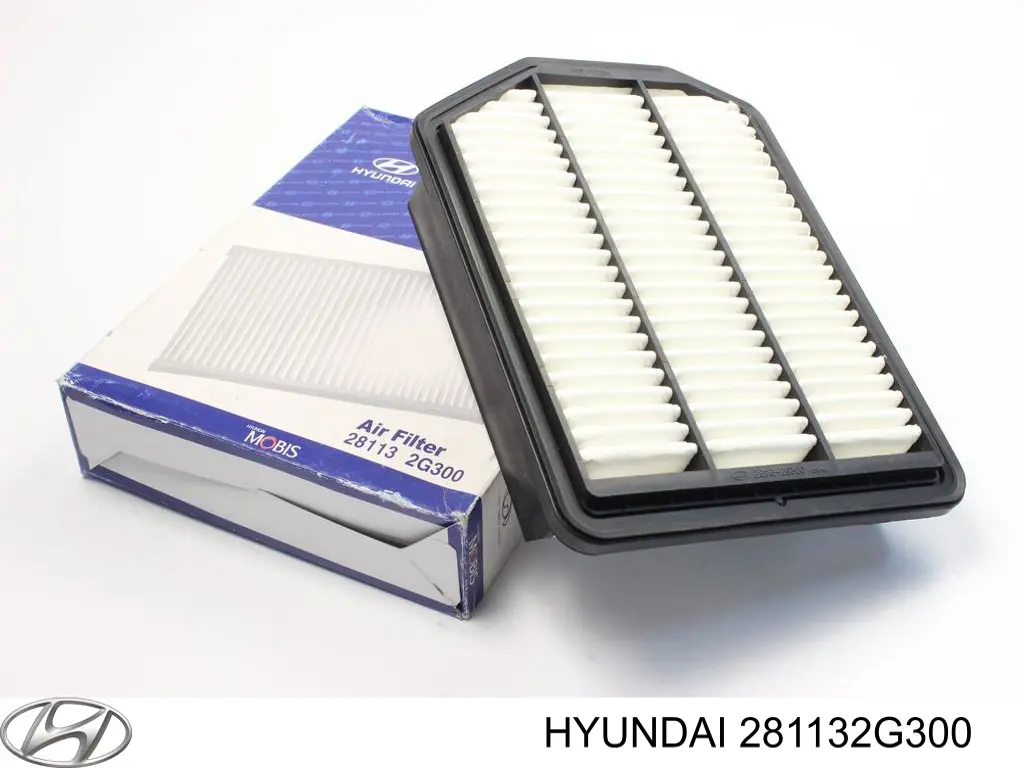 Do koszyka 281132G300 Hyundai/Kia Filtr powietrza