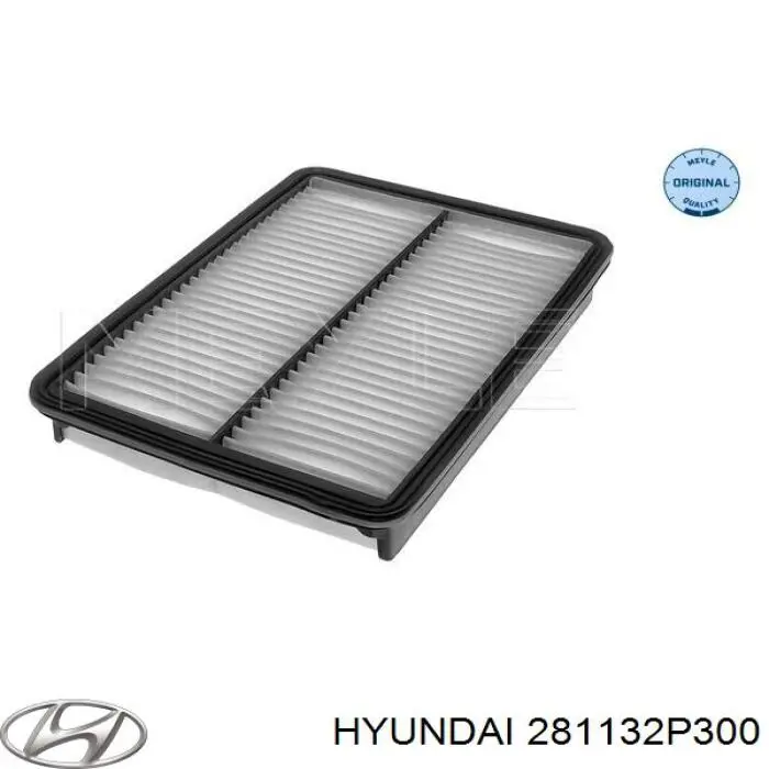 Filtr powietrza Hyundai/Kia 281132P300 cena, od 10,03 USD