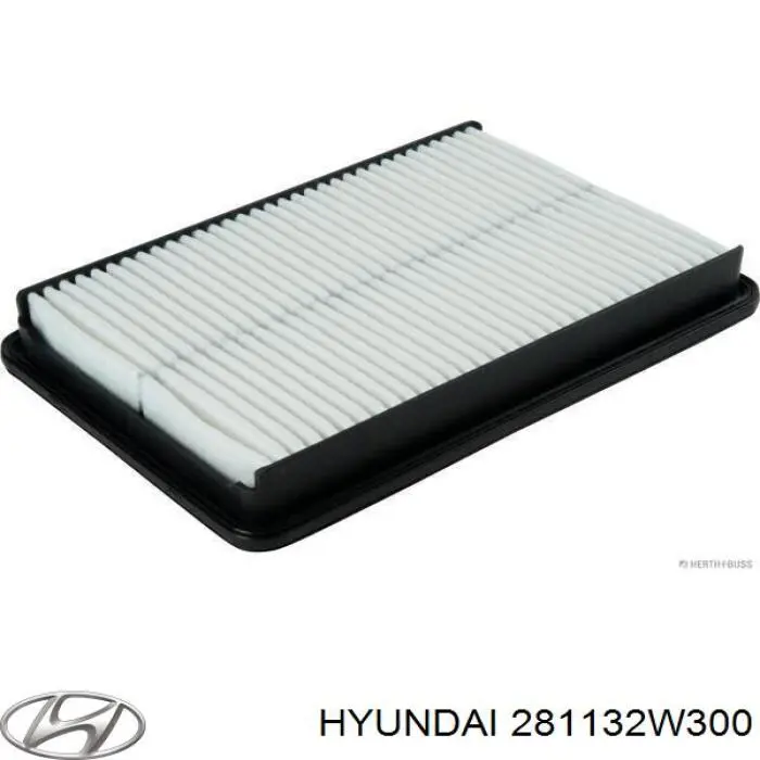 Filtr powietrza Hyundai/Kia 281132W300 cena, od 10,43 USD
