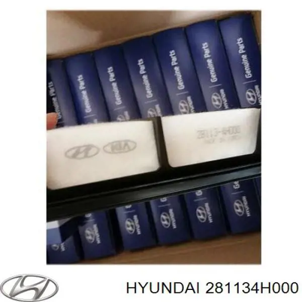 Filtr powietrza 281134H000 Hyundai/Kia