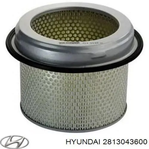Filtr powietrza 2813043600 Hyundai/Kia