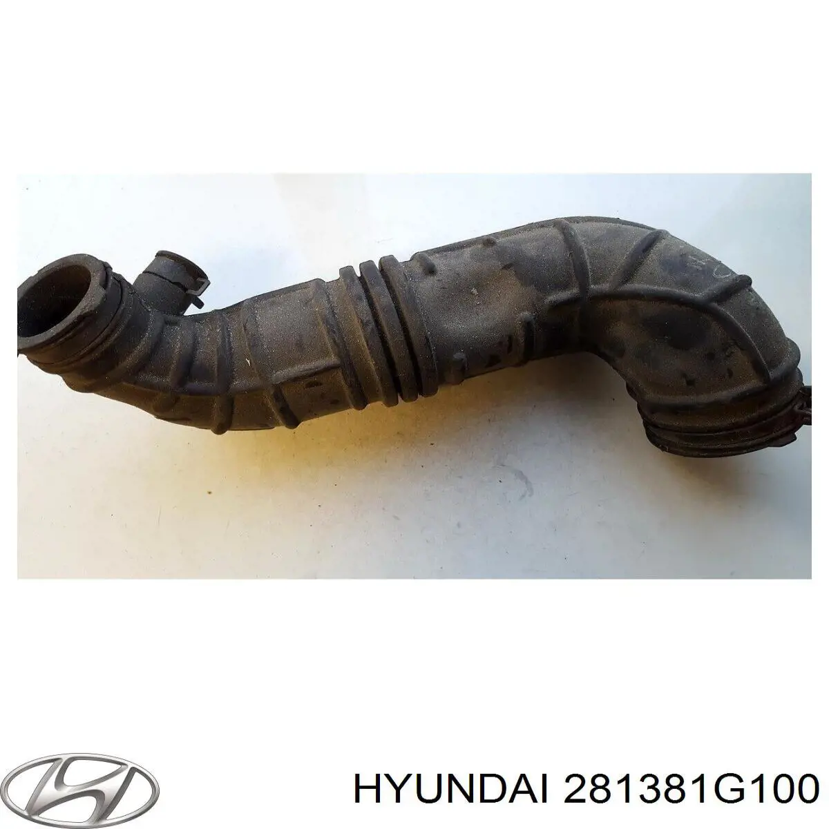 281381G100 Hyundai/Kia 