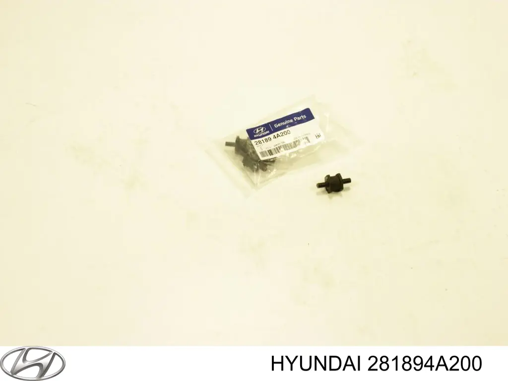 281894A200 Hyundai/Kia Śruba