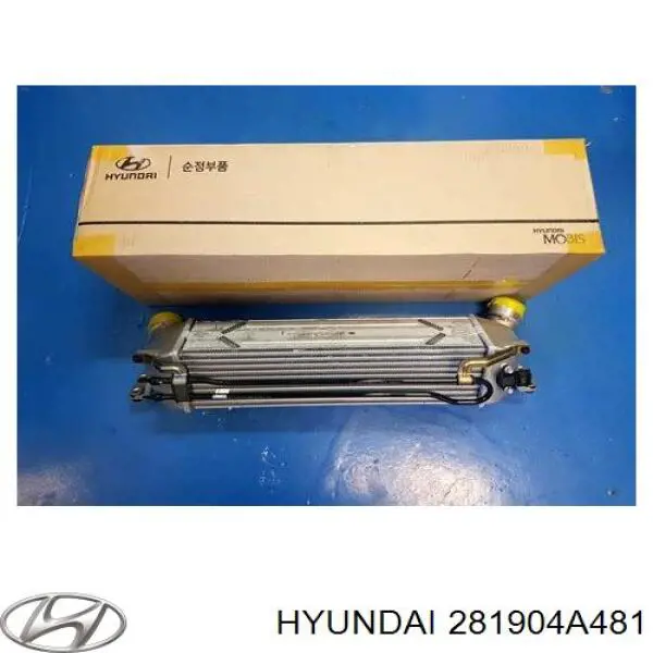 281904A481 Hyundai/Kia Chłodnica intercoolera