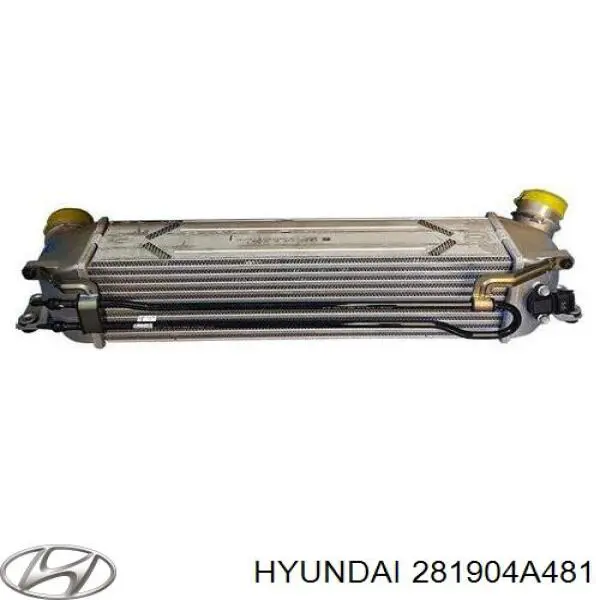 281904A481 Hyundai/Kia Chłodnica intercoolera