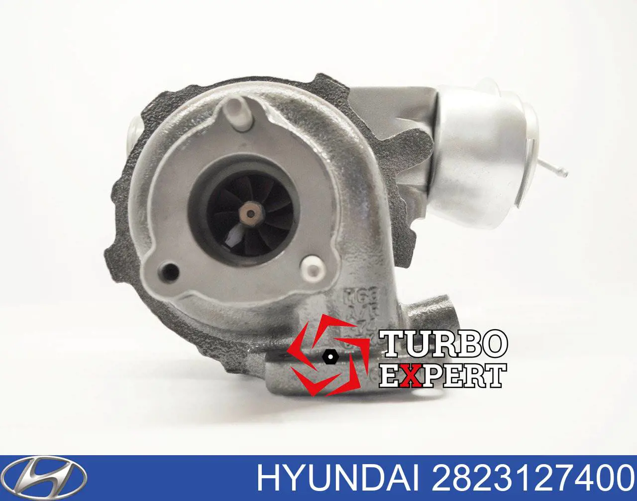 2823127400 Hyundai/Kia Turbina
