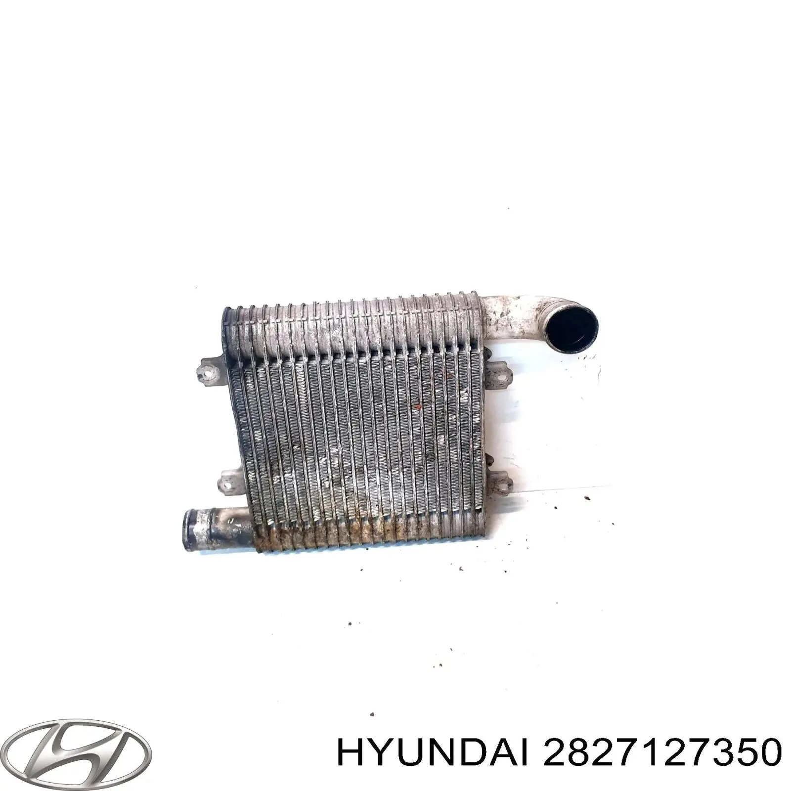 Chłodnica intercoolera KIA Carens I minivan (FJ) (2002 - 2006) cena, od 65,30 USD