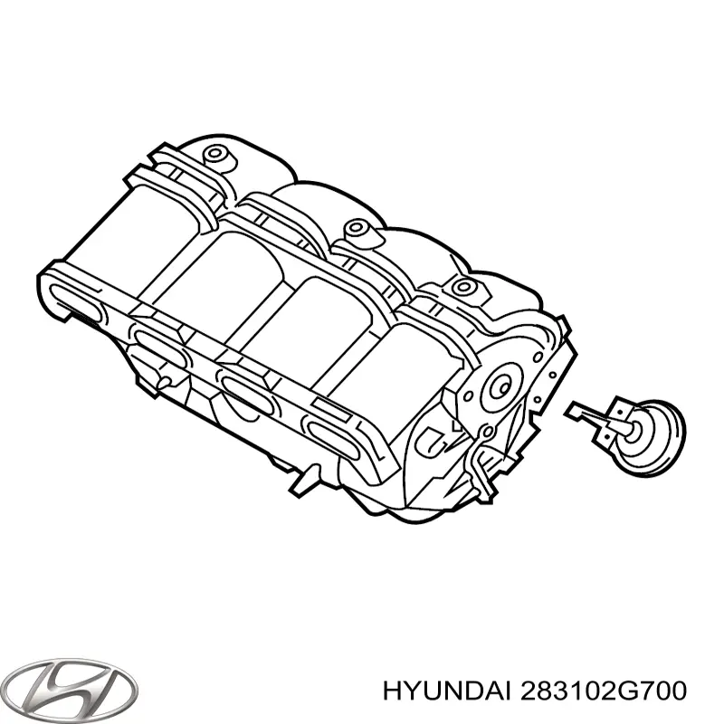 Do koszyka 283102G700 Hyundai/Kia Kolektor ssący