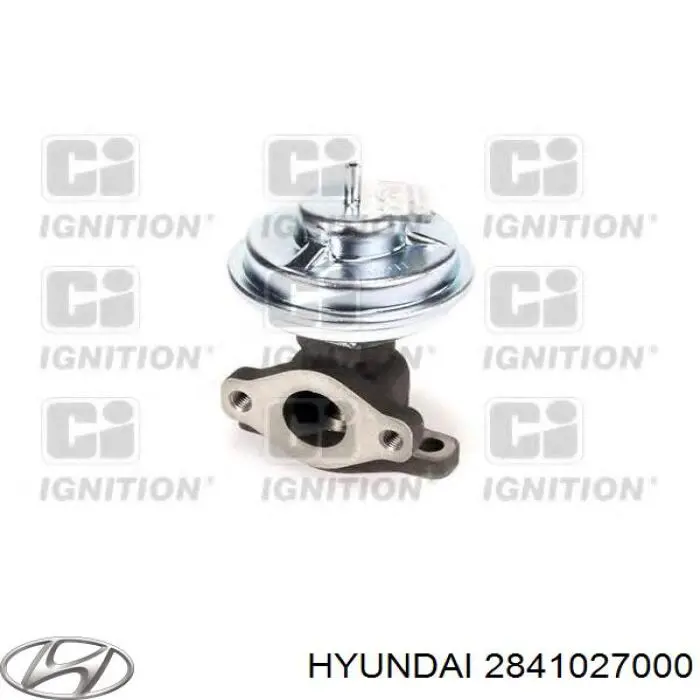 Do koszyka 2841027000 Hyundai/Kia Zawór recyrkulacji spalin EGR