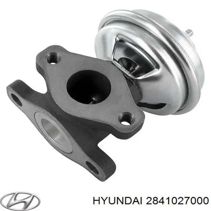 2841027000 Hyundai/Kia Zawór recyrkulacji spalin EGR