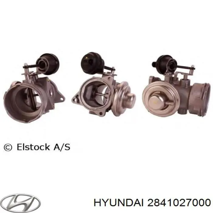 Zawór recyrkulacji spalin EGR Hyundai/Kia 2841027000 cena, od 56,18 USD
