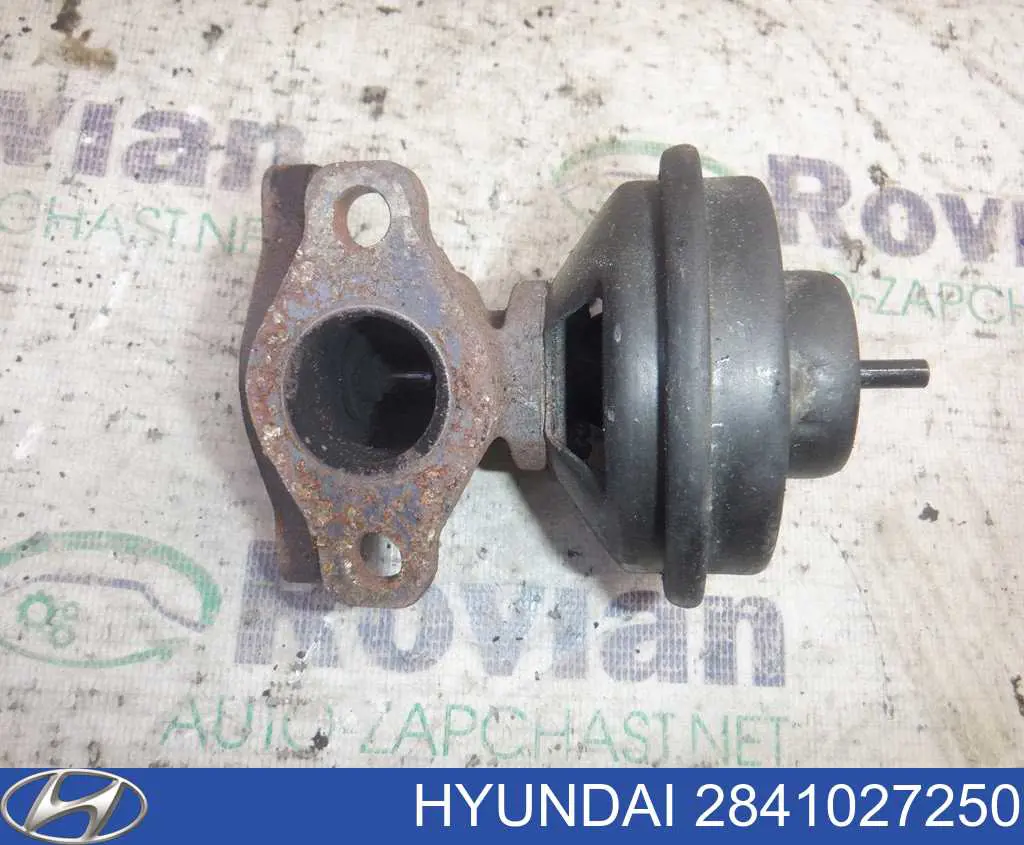 Zawór recyrkulacji spalin EGR Hyundai/Kia 2841027250 cena, od 77,06 USD