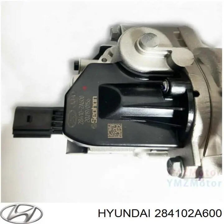 Zawór recyrkulacji spalin EGR Hyundai/Kia 284102A600 cena, od 178,77 USD