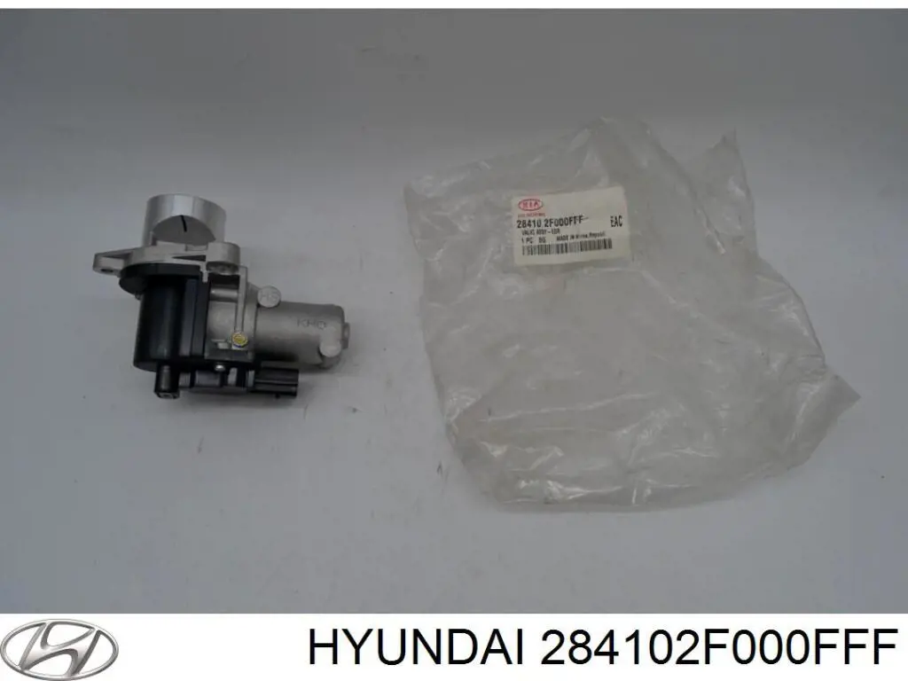 Do koszyka 284102F000FFF Hyundai/Kia Zawór recyrkulacji spalin EGR
