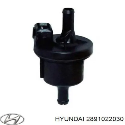 Do koszyka 2891022030 Hyundai/Kia Zawór odpowietrzający zbiornika paliwa