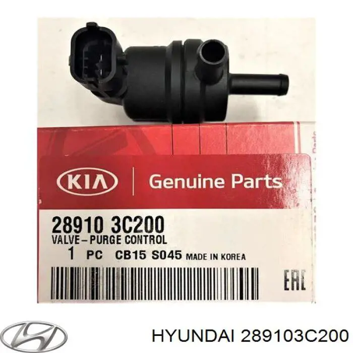 Do koszyka 289103C200 Hyundai/Kia Zawór pochłaniacza oparów paliwa