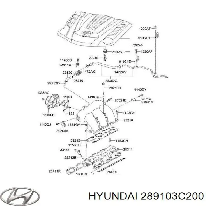 Zawór pochłaniacza oparów paliwa 289103C200 Hyundai/Kia