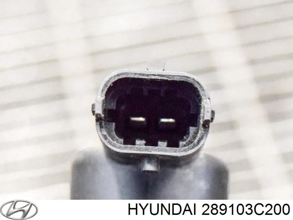 289103C200 Hyundai/Kia Zawór pochłaniacza oparów paliwa
