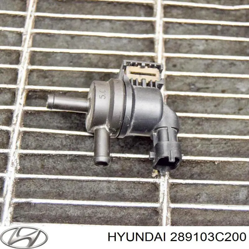 Zawór pochłaniacza oparów paliwa Hyundai/Kia 289103C200 cena, od 7,84 USD