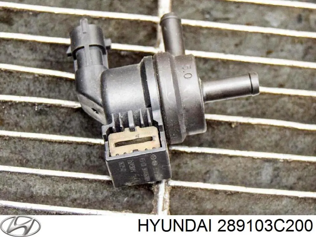 Zawór pochłaniacza oparów paliwa Hyundai/Kia 289103C200