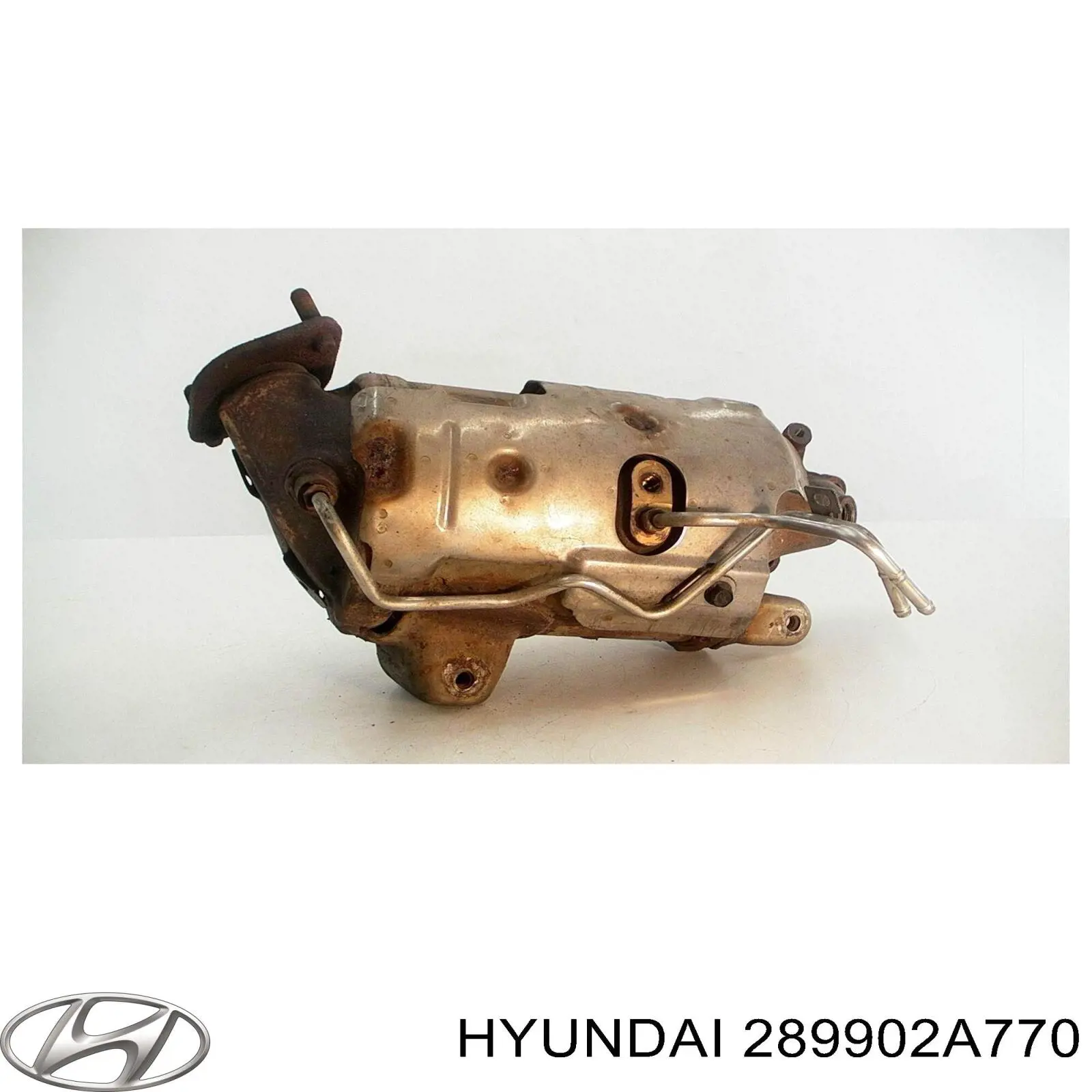 289902A770 Hyundai/Kia Filtr cząstek stałych układu wydechowego