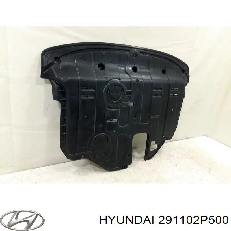 291102P500 Hyundai/Kia Osłona silnika, miski (przedziału silnika)