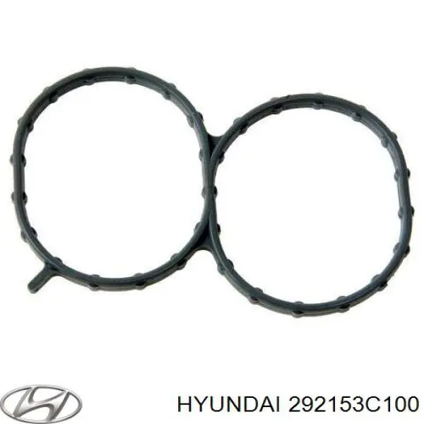 Uszczelka kolektora ssącego Hyundai/Kia 292153C100 cena, od 19,95 USD