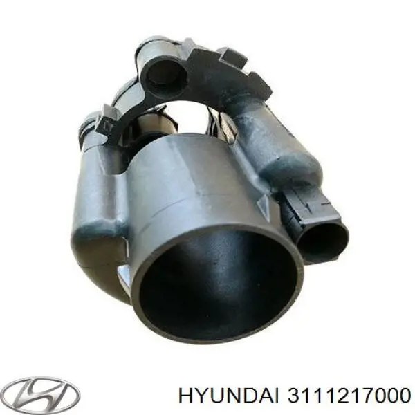 3111217000 Hyundai/Kia Filtr paliwa