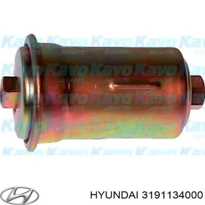 3191134000 Hyundai/Kia Filtr paliwa