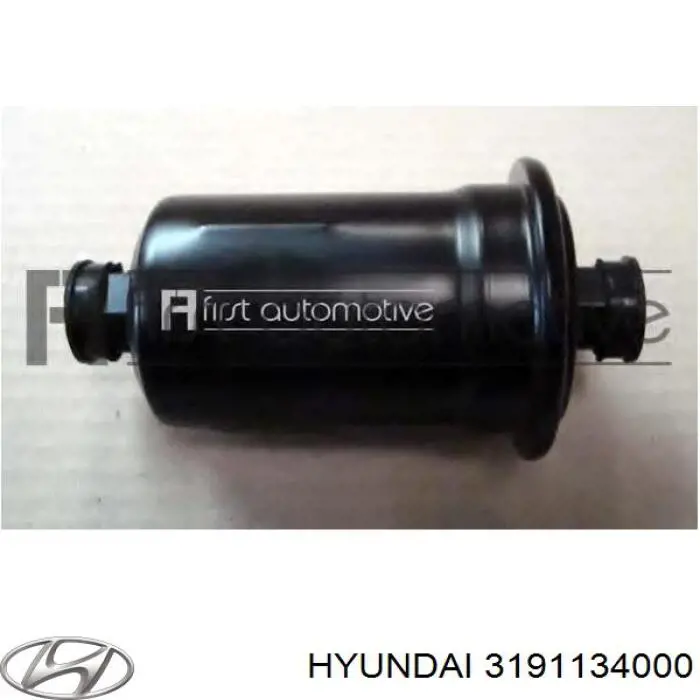 3191134000 Hyundai/Kia Filtr paliwa