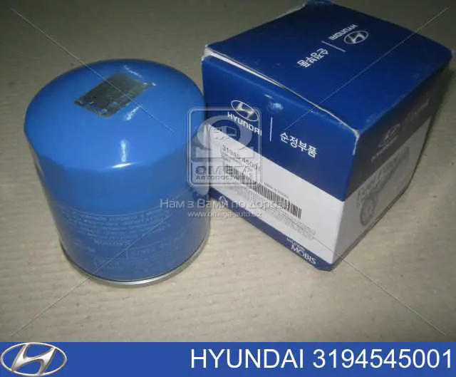 3194545001 Hyundai/Kia Filtr paliwa