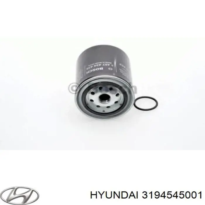 Filtr paliwa Hyundai/Kia 3194545001 cena, od 7,75 USD