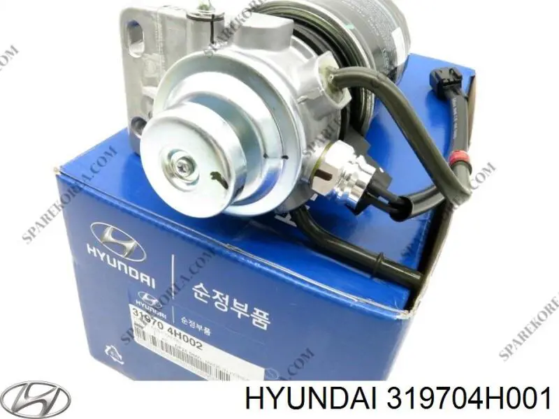 Filtr paliwa Hyundai/Kia 319704H002 cena, od 384,45 USD
