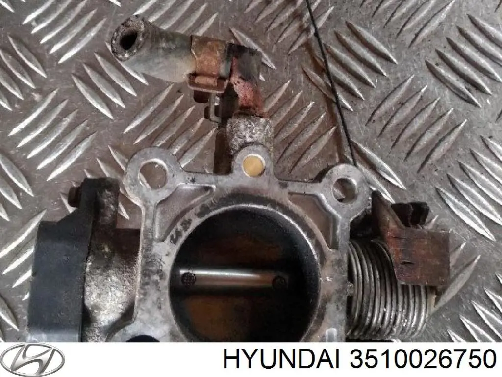 Do koszyka Przepustnica, komplet Hyundai Matrix  FC